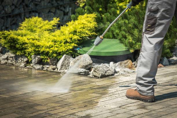 Best Patio and Deck Pressure Washing  in Celebration, FL