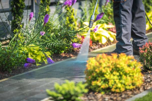 Best Sidewalk and Walkway Cleaning  in Celebration, FL