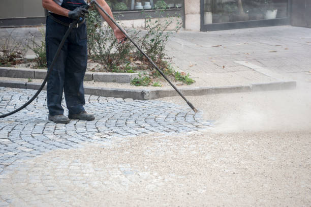 Best Gutter Cleaning  in Celebration, FL